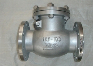 Flanged check valve